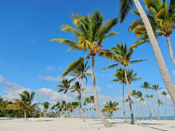 Discover the Timeless Charm of Traditional British Craftsmanship at a Cotswolds Country Fair!